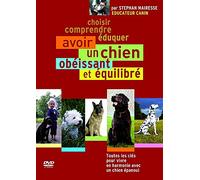 Avoir Un Chien Obéissant Et Équilibré