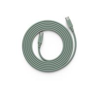 Avolt Cable 1 USB-C vers USB-C câble de charge 2 m Oak green