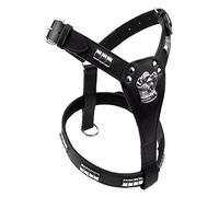 Avon Pet Products Chrome Staffordshire Bull Terrier clouté Cuir Harnais pour Chien