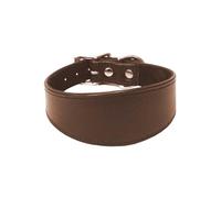 Avon Pet Products Collier rembourré en cuir pour lévrier whippet 40,6 cm BRN