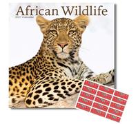 Avonside Animaux Sauvages d'Afrique 2027 Calendrier avec Autocollants d'Organisation, Calendrier Mural Carré 16 Mois (sept 2026 - déc 2027), Planning, 29,5 x 29,5 cm