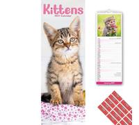 Avonside Chatons 2027 Calendrier Mince avec Stickers d'Organisation, Planificateur Mural 12 Mois (Jan-Déc 2027), Maison, Bureau ou Cuisine pour Amateurs de Chats, 15 x 42 cm