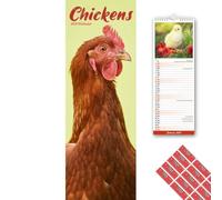 Avonside Poules 2027 Calendrier Mince avec Stickers d'Organisation, Planificateur Mural 12 Mois (Jan-Déc 2027), Maison, Bureau ou Cuisine pour Amateurs d'Animaux, 15 x 42 cm