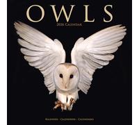 AVONSIDE Publishing Calendrier mural 2026 Motif chouettes 12 mois Emballage sans plastique