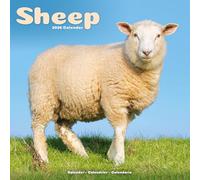 AVONSIDE Publishing Calendrier mural 2026 Motif mouton 12 mois Emballage sans plastique