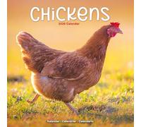 AVONSIDE Publishing Calendrier mural 2026 Motif poules 12 mois Emballage sans plastique