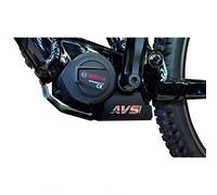 Avs Racing Moustache 2023-2024 Engine Protector Noir Multicolor