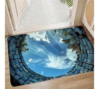 AVSMGP Tapis Illusion 3D - Tapis À Illusion D'optique Lavable en Machine pour L'entrée,Salle Bain,Escaliers,Salle Jeux,Salon,Antidérapant,N,2'7"x3'11"/80x120cm