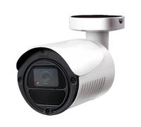 Avtech Telecamera IP POE IR 2MP da Soffitto Parete IP66 H.265, DGM2103SVP/F36 Bianco