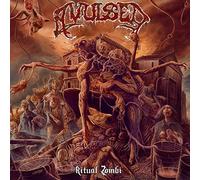 Avulsed - Ritual Zombi [Import]
