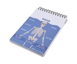 AVZYARDY Carnet d’atlas d’anatomie et de physiologie, plus de 100 illustrations en couleurs complètes du corps humain, guide d’étude anatomique, cahier d’entraînement à l’étiquetage effaçable