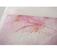 Awagami Unryu Thin - 55 g/m², 24 x 15 mètre
