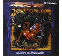 Awake Me in The New World