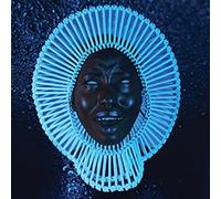 Awaken, My Love Vinyle