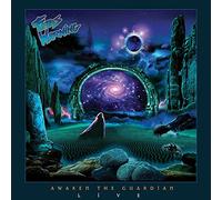 Awaken The Guardian Live