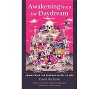Awakening from the Daydream by Lodro Rinzler Inconnu (Auteur)