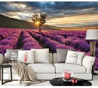 awallo A.S. Création 403701 Papier peint photo Motif champs de lavande Vert 3,36 x 2,60 m