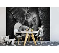 awallo A.S. Création 403708 Papier peint photo Motif bébé éléphant Noir/gris/blanc 3,36 x 2,60 m