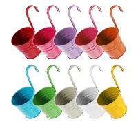 AWAOVV Lot de 10 pots de fleurs suspendus de 13 cm avec mini outil