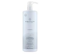 Paul Mitchell Après-Shampooing Paul Mitchell HydraSoft Conditioner 1000ml 1000 ml