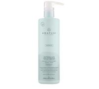 Awapuhi Wild Ginger Repair Intensive Treatment 500ml