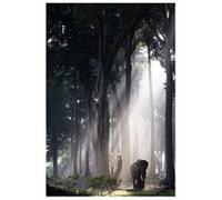 Away From the Herd - 61x91,5 cm - AFFICHE / POSTER G
