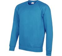 AWDis Academy Sweat-shirt ras du cou pour homme RW3916 (Medium) (Bleu ciel)