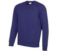 AWDis Academy - Sweatshirt - Homme (M) (Pourpre) - UTRW3916 Pourpre G