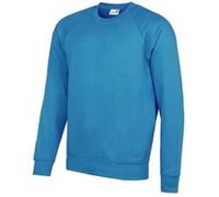 AWDis Academy - Sweatshirt - Homme (S) (Bleu ciel) - UTRW3916 Bleu Ciel