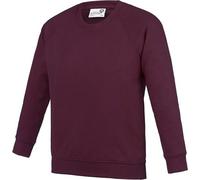 Awdis - "Academy" Sweatshirt pour enfants manches raglan PC7093 (L) (Bourgogne)