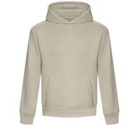 Awdis Just Hoods Hoodie Sweatshirt à Capuche Coton Épaisseur Premium