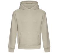Awdis Just Hoods Hoodie Sweatshirt à Capuche Coton Épaisseur Premium