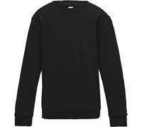 AWDis Just Hoods Pullover / Sweatshirt pour enfants, uni RW3485 (158) (Bleu ciel)