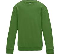AWDis Just Hoods Pullover / Sweatshirt pour enfants, uni RW3485 (158) (Bleu saphir)