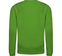 AWDis Just Hoods Pullover / Sweatshirt pour enfants, uni RW3485 (158) (Vert bouteille)