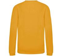 AWDis Just Hoods Sweat-shirt pour enfants PC3797 (5-6 ans (116)) (Vert menthe)