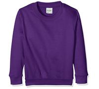 AWDis Kids,Pull Garçon, Violet, S