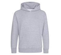 Awdis - Sweat à capuche - Enfant (PC5866)