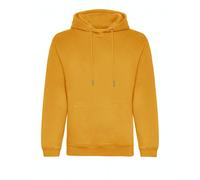 Awdis - Sweat à capuche - Homme (PC4386)