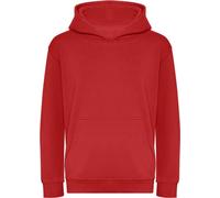 Awdis - Sweat à capuche, issu de l'agriculture biologique pour enfant RW7957 (152) (Noir)
