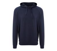 Awdis - Sweat à capuche JUST COOL FITNESS - Homme (RW6552)