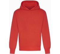 Awdis - Sweat à capuche "Signature" pour homme PC5530 (L) (Rouge doux)