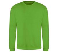 Awdis - Sweat JUST HOODS - Adulte (PC3798)
