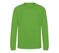 Awdis - Sweat JUST HOODS - Enfant (PC3797) UTPC3797_1