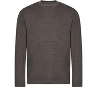 Awdis - Sweat-shirt, issu de l'agriculture biologique pour homme PC4333 (L) (Anthracite)