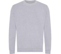 Awdis - Sweat-shirt, issu de l'agriculture biologique pour homme PC4445 (XL) (Gris chiné)
