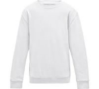 AWDis - Sweat uni - Enfant unisexe (12-13 ans) (Blanc arctique) - UTRW3485 Blanc Arctique G