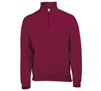 Awdis - Sweatshirt à fermeture zippée - Homme (RW177)