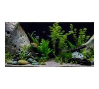 AWERT Plante aquatique sous-marine en vinyle pour aquarium, pierre de rivière et lac 182,9 x 45,7 cm