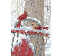 Awesocrafts Kit de broderie au point de croix estampé Motif oiseaux et jours enneigés 14 ct 2 brins